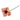 Kunstig Anemone Rosa - 2Have