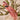 Vogel mit Clip 17 cm - Mehrere Farben - 2Have