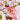 Vogel mit Clip 17 cm - Mehrere Farben - 2Have