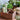 Holzkiste mit Griff und 4 Fächern - Chic Antique