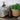 Flasche mit Pumpe Spülmittel 500ml - Chic Antique