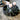 Fleur Zedernranke mit Tannenzapfen - Chic Antique