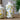 Limone Vase mit Zitronenmotiv - Chic Antique