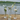 Vase zylindrisch - Glas - Speedtsberg