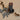Grangren med frost H28cm - Assorteret