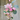 Künstliche Ranunkelnblüte 48cm - Mehrere Farben - Speedtsberg
