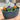 Japanischer Blumentopf Oval - Mehrere Farben